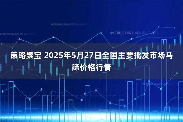 策略聚宝 2025年5月27日全国主要批发市场马蹄价格行情