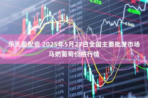 乐天盈配资 2025年5月27日全国主要批发市场马奶葡萄价格行情