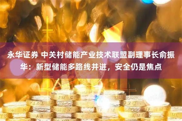 永华证券 中关村储能产业技术联盟副理事长俞振华：新型储能多路线并进，安全仍是焦点